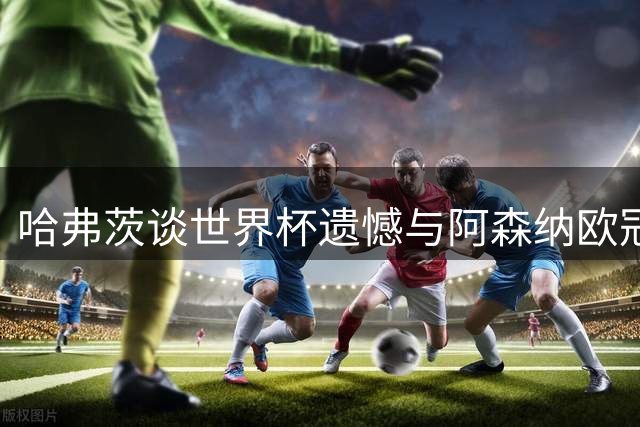 哈弗茨谈世界杯遗憾与阿森纳欧冠梦想